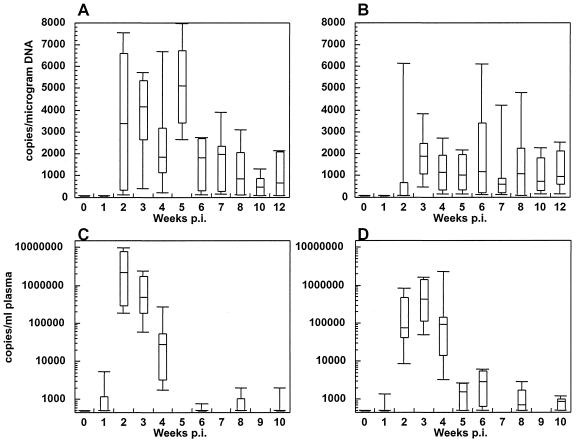 FIG. 1