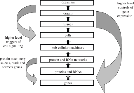 Figure 4.