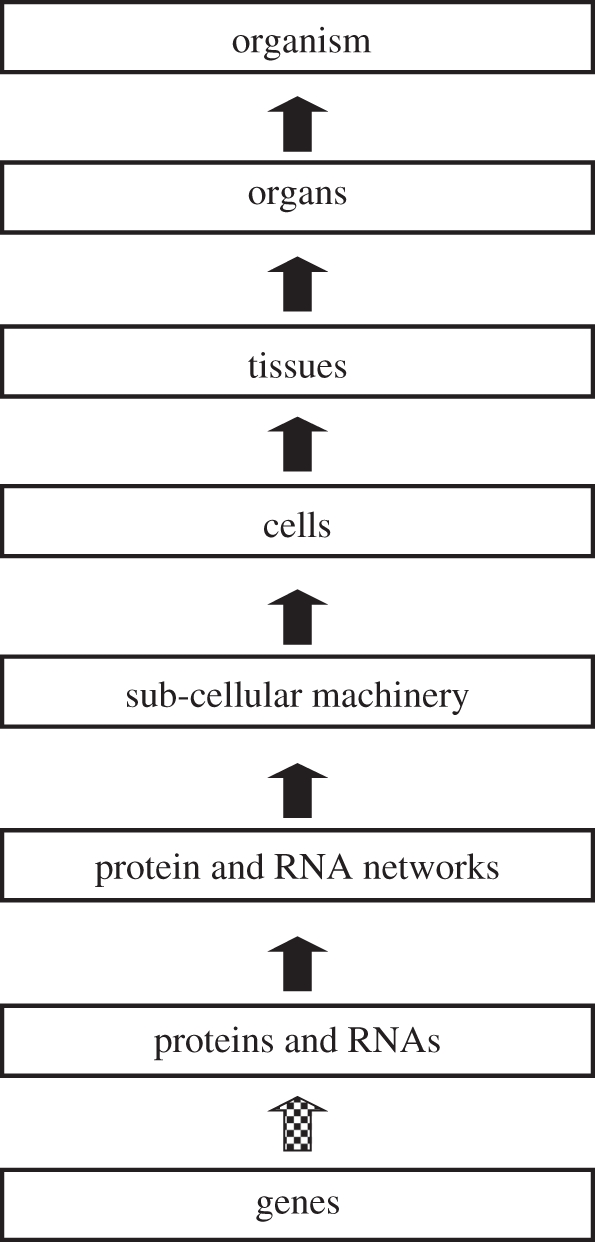 Figure 1.