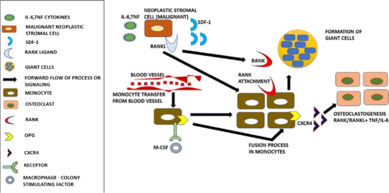 Fig. 2