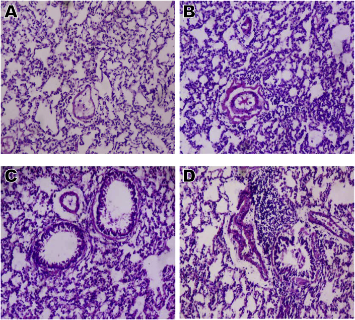 Fig. 7