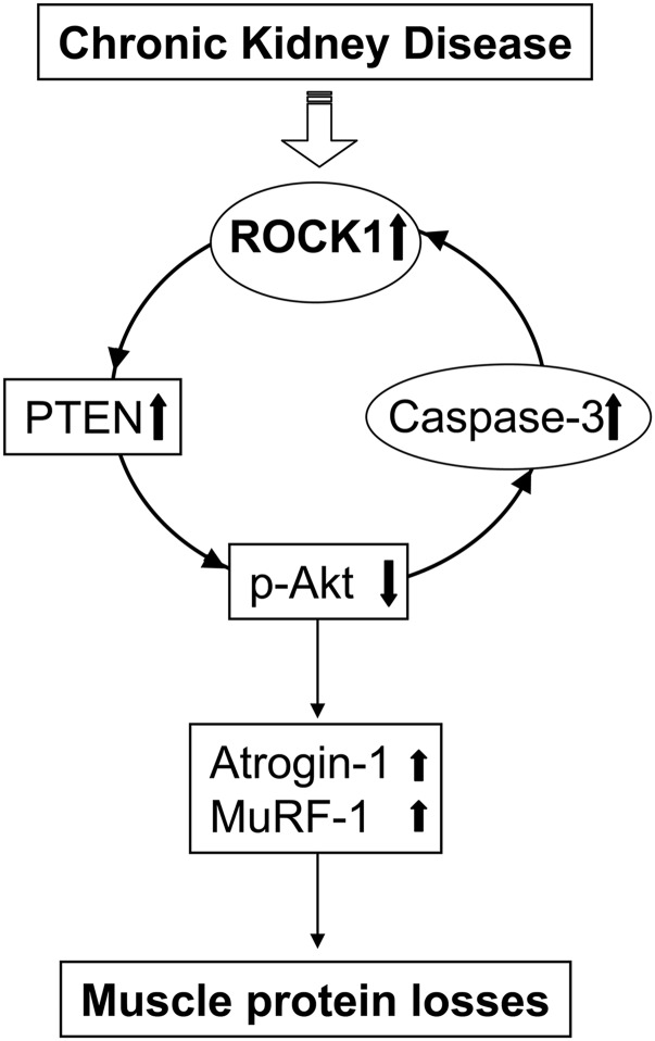 Figure 9.