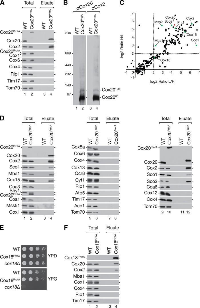 FIG 2