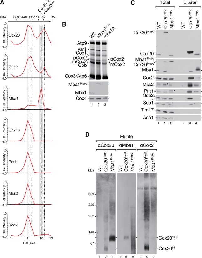 FIG 3