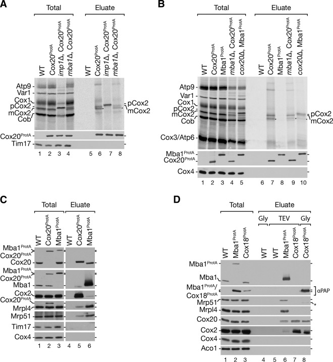 FIG 4