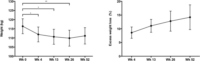 Fig. 4