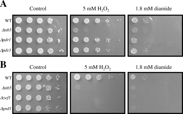 FIG. 2.