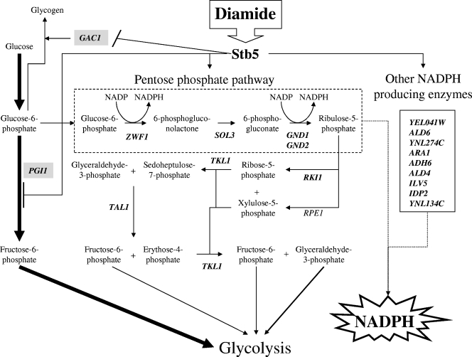 FIG. 8.