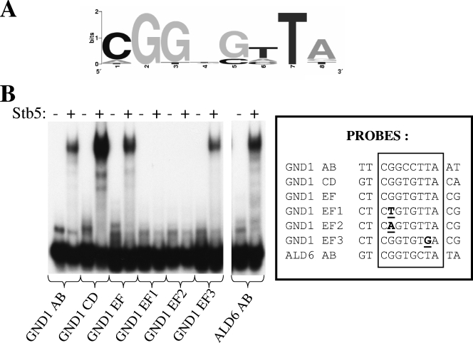 FIG. 5.