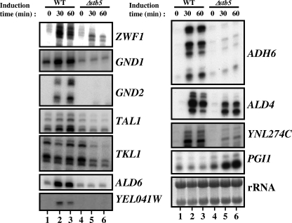 FIG. 4.