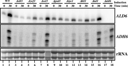 FIG. 7.