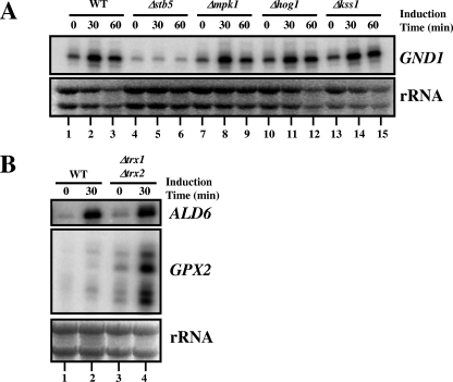 FIG. 6.