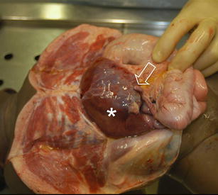 Fig. 3