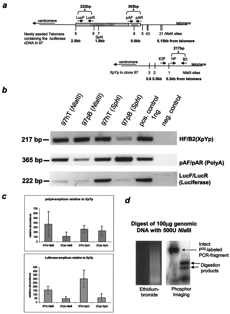 FIG.4.