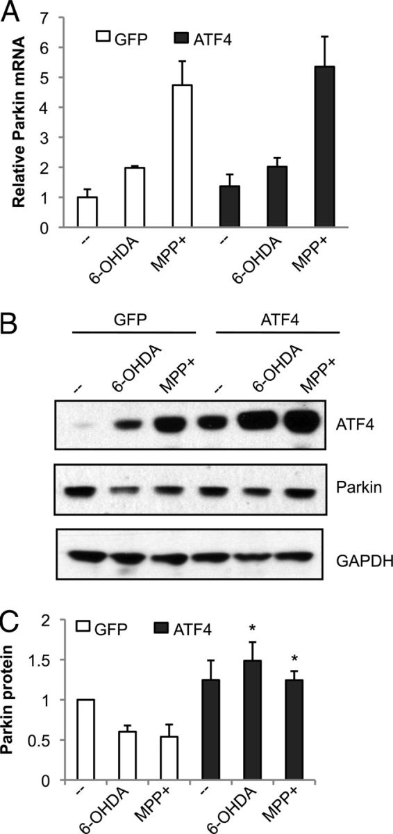 Figure 7.