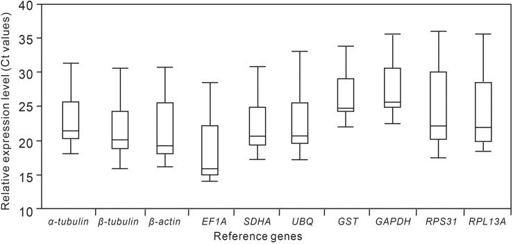 FIGURE 1