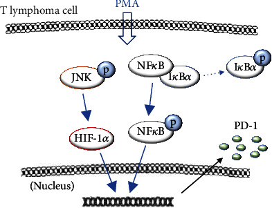 Figure 9