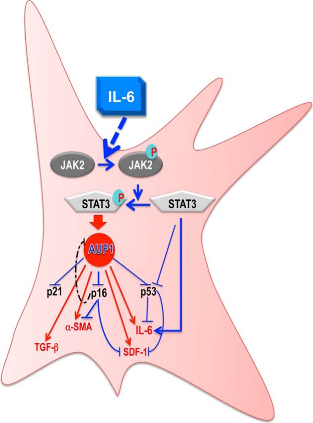 FIGURE 9.