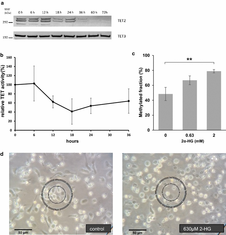 Fig. 6