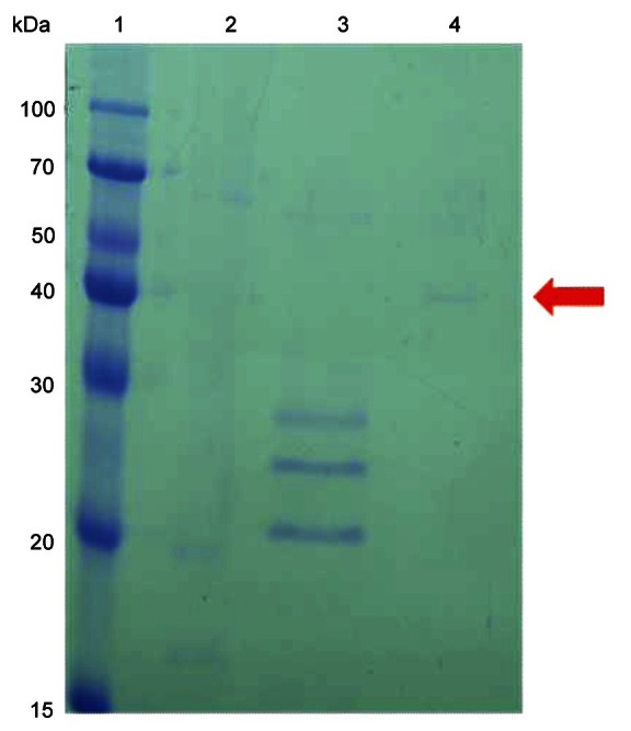 Fig. 3.