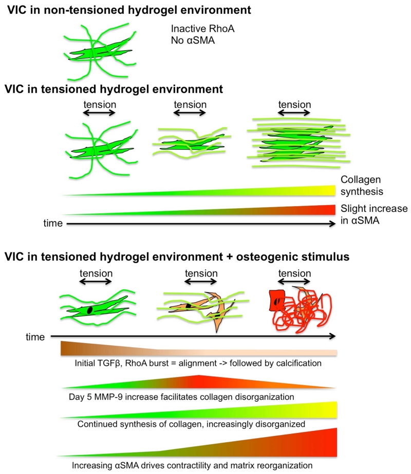 Fig. 11