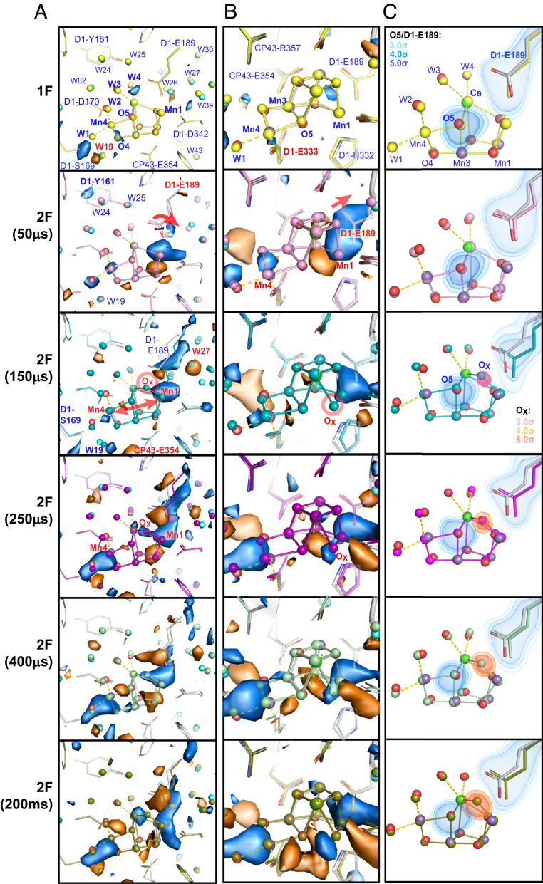 Fig. 4.