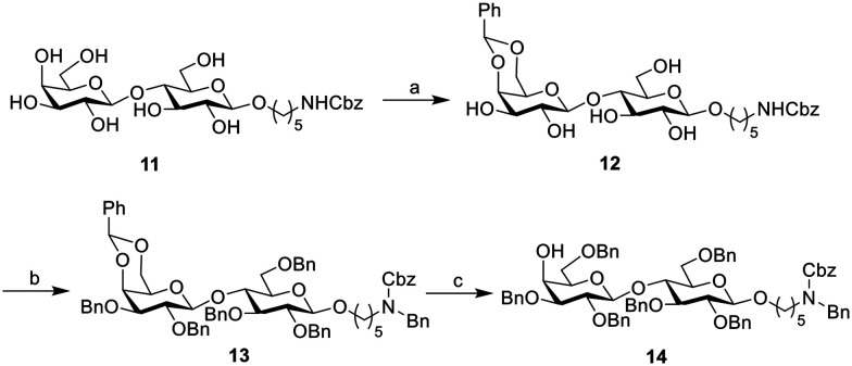 Scheme 2