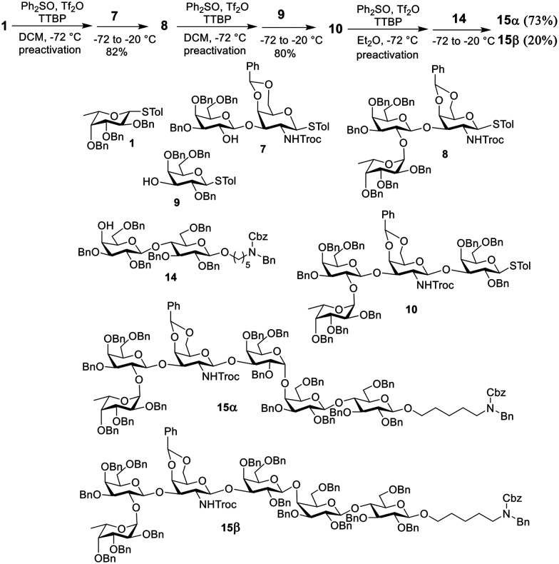 Scheme 3