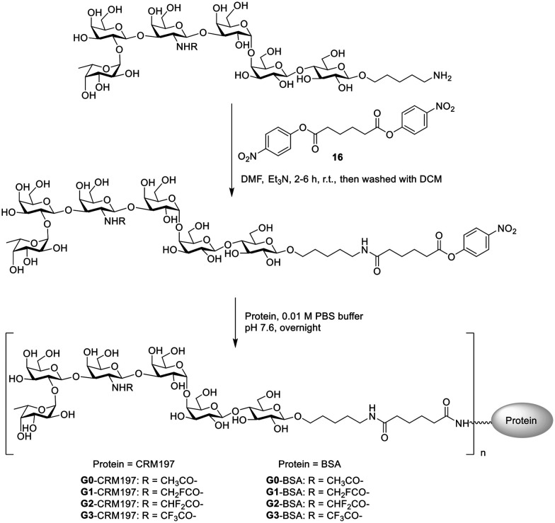 Scheme 5