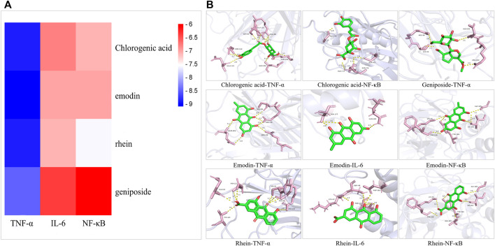 FIGURE 6