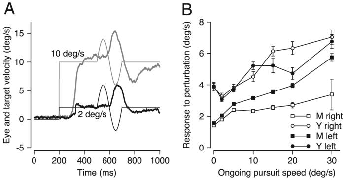 FIG. 6