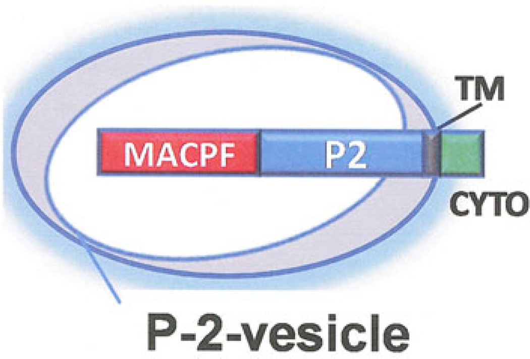 Fig. 11