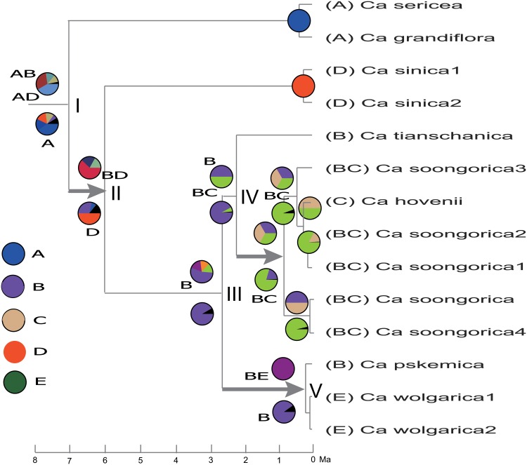 Fig 3