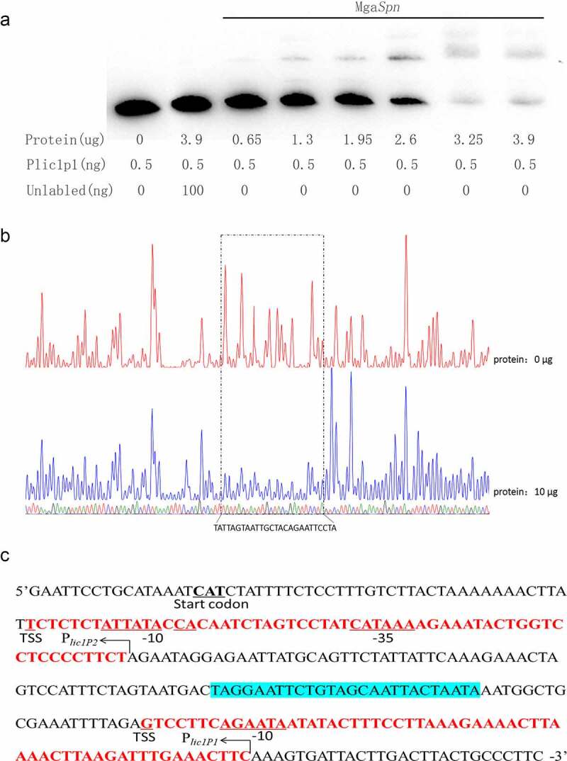 Figure 4.