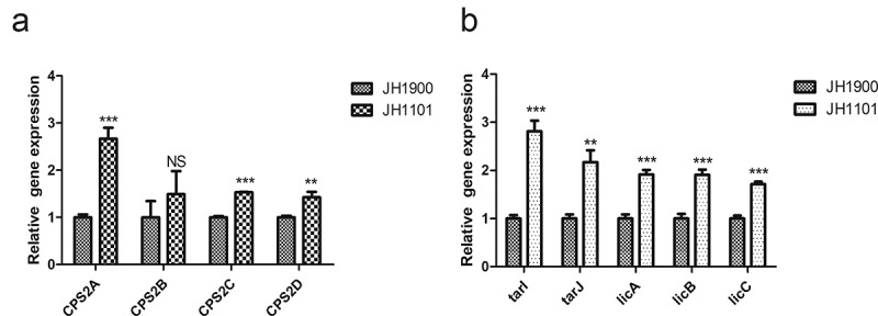 Figure 2.