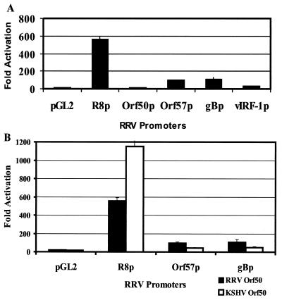 FIG. 8.