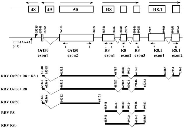 FIG. 2.