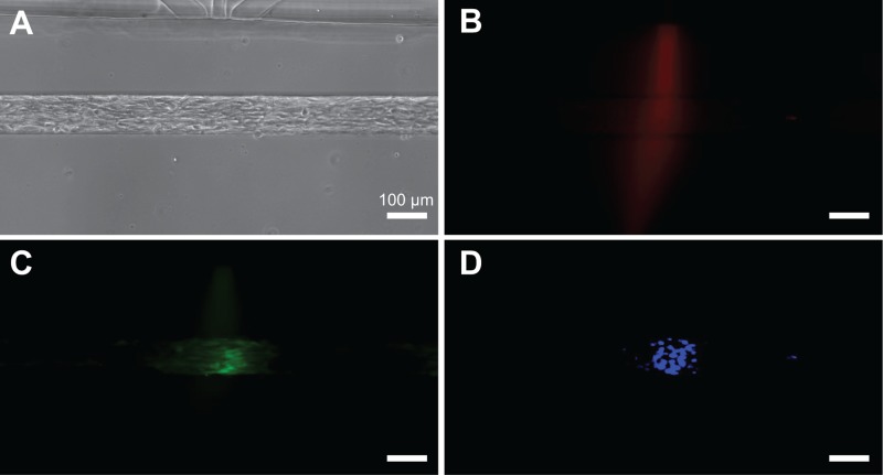 FIG. 7.