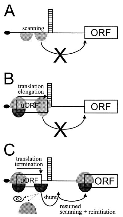 FIG. 8