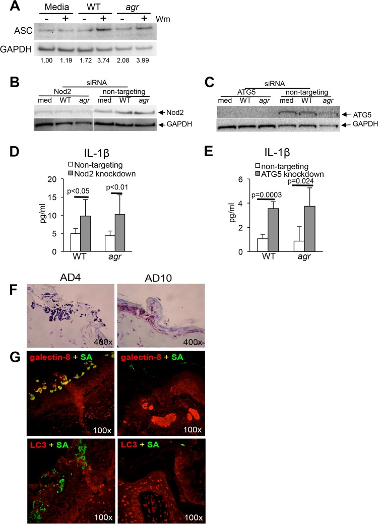 FIG 6 