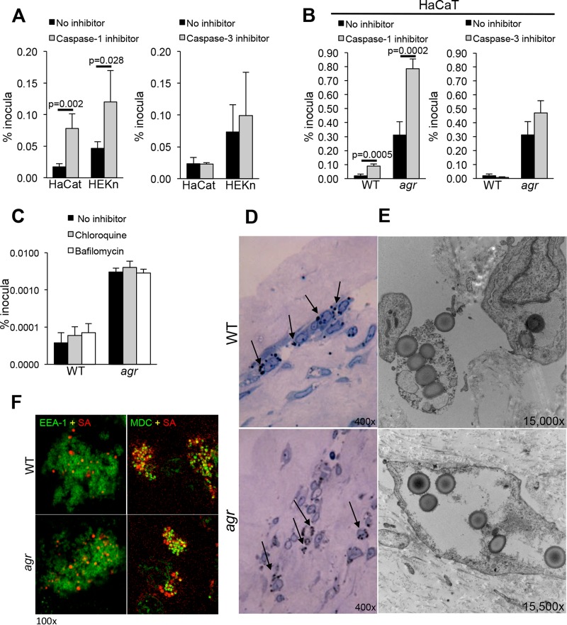 FIG 3 