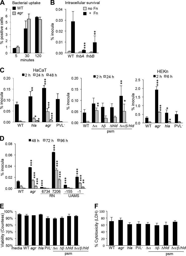 FIG 2 