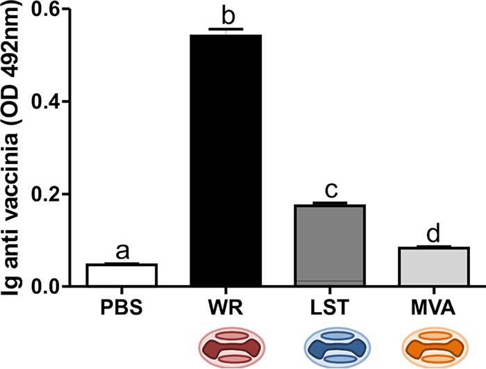 FIG 1