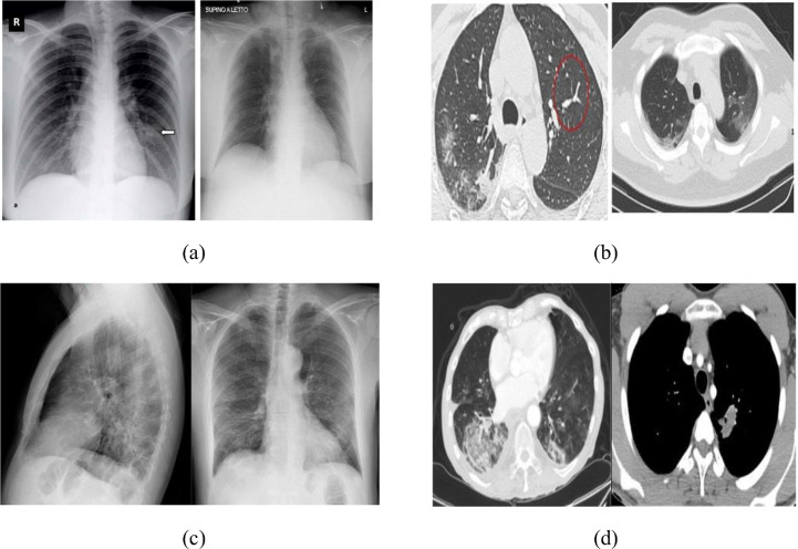 Fig. 5