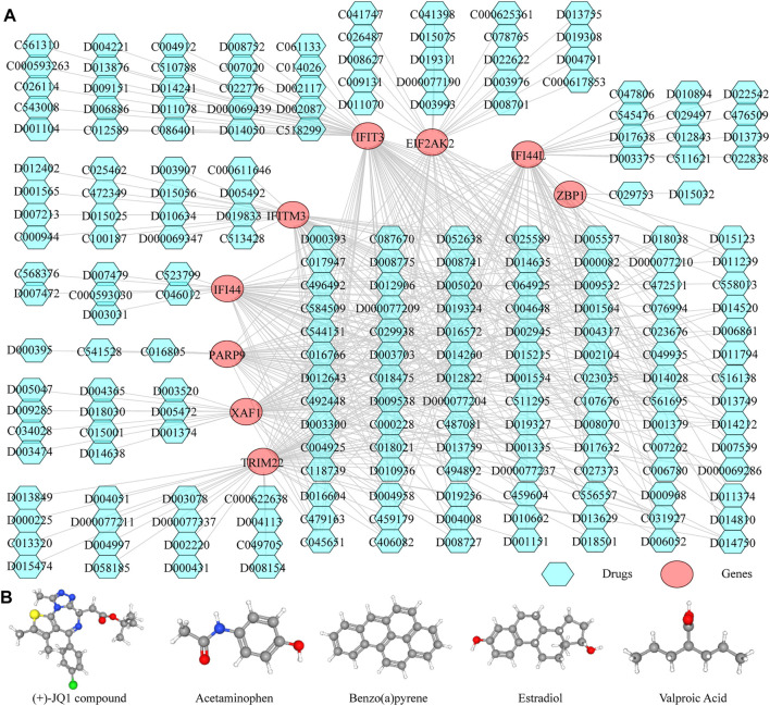 FIGURE 6