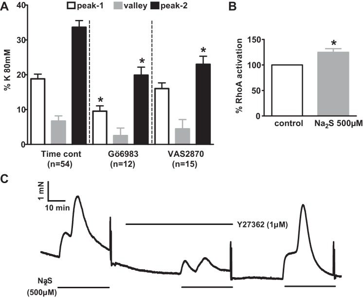 Fig. 10.