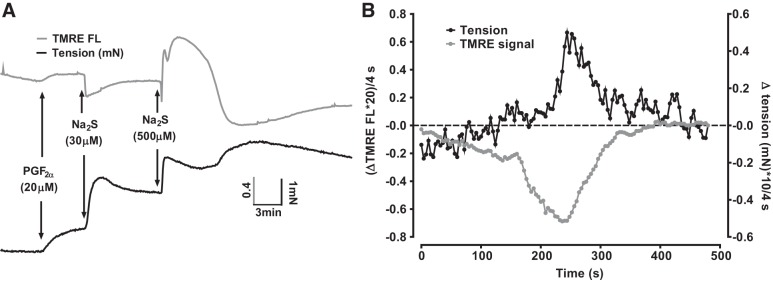 Fig. 5.