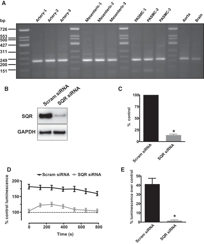 Fig. 13.