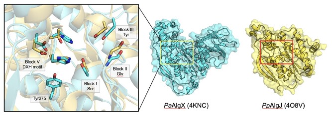 Fig. 10