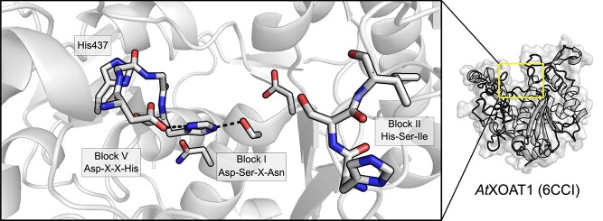 Fig. 12